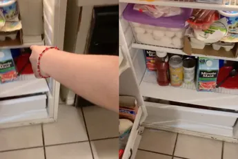  Hond is er klaar mee en besluit in koelkast te verblijven 