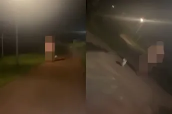 Naakte man in Schiedam laat hond uit: "Mannen zijn gek tegenwoordig"