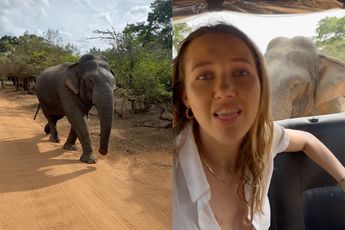 Olifant eet telefoon in Yala National Park