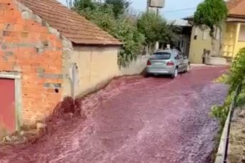 Letterlijk een rivier van wijn in het Portugese plaatsje Levira