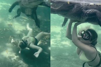 Achterlijke manieren om dood te gaan: Lekker zwemmen met een krokodil