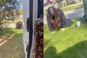 Maandag baaldag: Enkel breken en met je gezicht in een hondendrol vallen