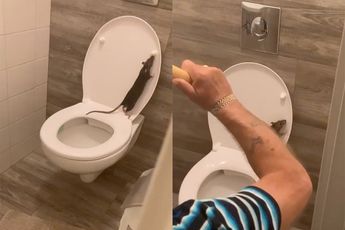 Opa maakt toilet kapot en helpt je half van ratten probleem af