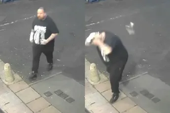 Agressieve duif deelt er gewoon eentje uit