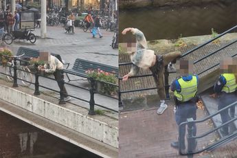 Als je iets te veel van snoepjes tijdens ADE hebt genoten