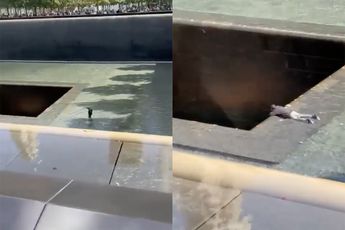 Man neemt een duik in het National September 11 Memorial in New York