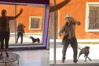 De Zuid-Amerikaanse versie van een gratis proefles Jumping Fitness