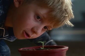 Kerstcommercial 2023: John Lewis & Partners - Snapper: The Perfect Tree