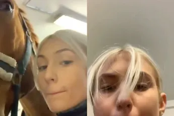Paardenmeisje wil selfie met knol en krijgt een kopstoot