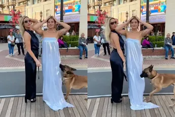 Braaf hondje, want hondje steelt jurk van vrouw