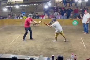 Haan valt zijn eigenaar aan tijdens hanengevecht in Mexico