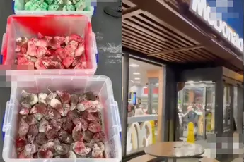 McDonald's klanten schrik aangejaagd door Palestijnse demonstrant die honderden ratten vrijlaat