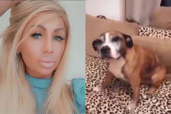 Toch wel zorgen hoe het gaat met de hond van Samantha de Jong aka Barbie
