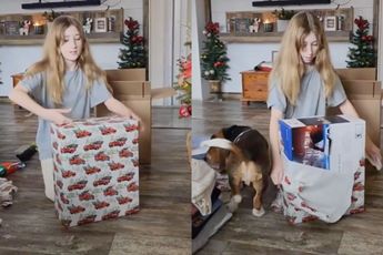 Hond geeft jongedame extra cadeautje tijdens uitpakken van cadeautje