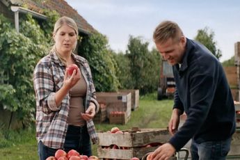 LOL! Appels snel uitverkocht bij Jumbo door ordinair filmpje bij Vandaag Inside