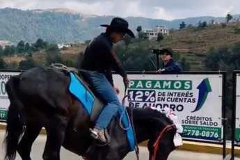 Mans doen met paard kwam filmer duur te staan