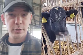 Als je fan bent van Snelle en op een boerderij werkt...