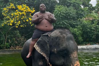 Bigidagoe neemt in Thailand plaats op een olifant en daar vinden mensen wat van