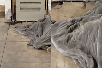 Zwerver in metro New York is de rattenkoning, want deelt dekentje met ratten