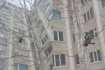 16-jarige knul springt van 5e verdieping via dubbele salto in de sneeuw