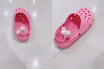 Gebruik je Crocs eens voor iets anders dan als schoen