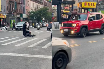 New York is nooit saai: Gewoon een gek gevecht op straat