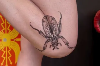 Laat anders eens een tattoo van een Goliathkever in je been prikken
