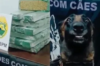 K9 Boris heeft wat drugs gevonden en dat is te zien ook