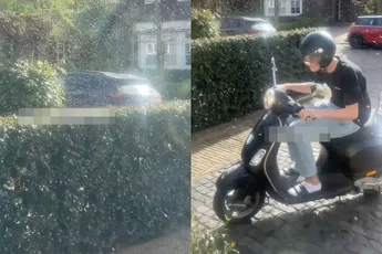 Dirk is geen hobbyimker en dan zijn heel veel bijen best een probleem