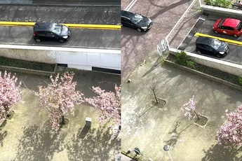 Man man man, als je hellingproef niet onder de knie hebt, lever rijbewijs dan maar in