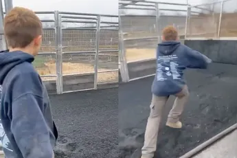 Mannetje probeert rondje te rennen in stapmolen voor paarden: Gaat fout