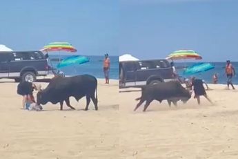 Mexicaanse stier valt niet luisterende badgast herhaaldelijk aan