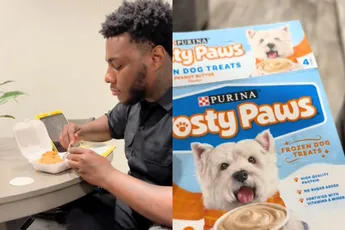 Wie maakt er dan ook ijs voor honden…