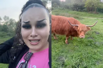 Ondertussen ergens in Nederland: "OMG ik ben in het bos en er is een bizon"