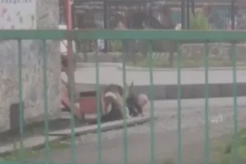 Hond gaat aan de slag met dronken Rus zonder wederzijdse instemming