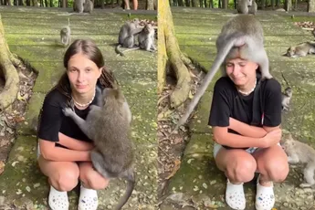 Tijdens een bezoek aan het apenwoud op Bali had ik net iets te veel contact met een bewoner