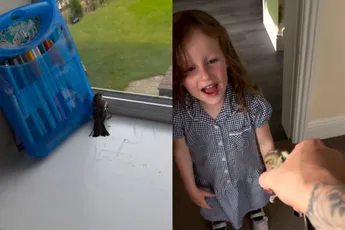 Vogeltje maakte het vader niet makkelijk die dag