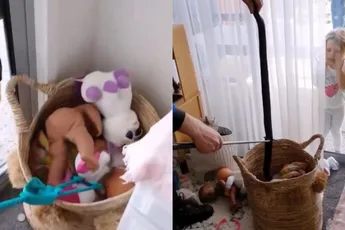 Gezellig, giftige Redbelly Black snake tussen het speelgoed van de kinderen