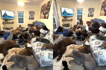 Dat wordt plezier vanavond, want hij is niet vergeten dat ze van honden houdt