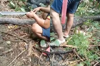 Ondertussen in Indonesië: Python van 5 meter slokt vrouw helemaal op