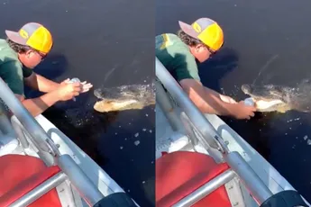 De meest Floridiaanse manier om een biertje te openen
