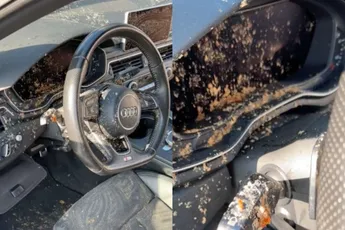 Als iemand het interieur van zijn Audi voorziet van maaginhoud