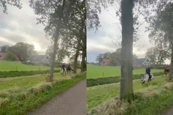 Ruiter heeft hoofdpijn, maar eet 's avonds wel een lekker frikandelletje
