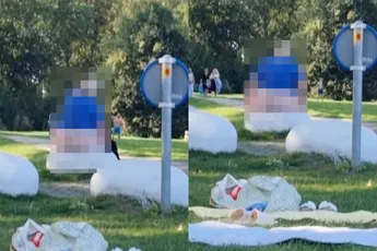 Oké, genoeg internet voor vandaag: volle maan in het park