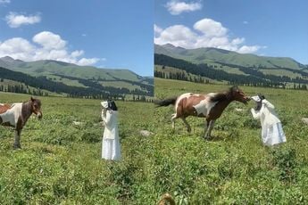 Vrouw in China snapt nu waarom je paarden niet kunt vertrouwen