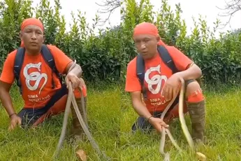 Slangenfluisteraar heeft kennelijk iets verkeerds gefluisterd
