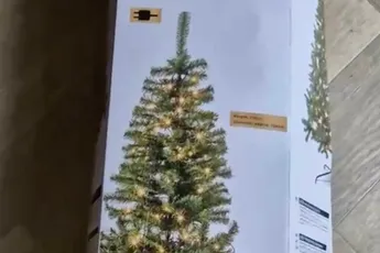Kerstboom van Lidl valt toch een beetje tegen