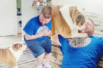 Bulldog heeft prima manier om z’n baasje te “reanimeren”