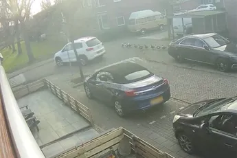 Automobilist in Wormerveer ziet eenden over het hoofd en rijdt ze plat