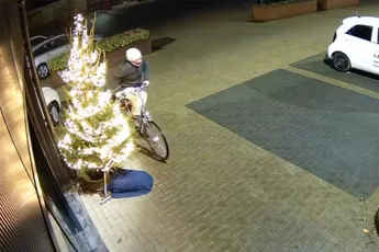 Dief jat kerstboom van autobedrijf in Limburgse Simpelveld